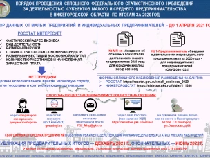 Нижегородстат сообщает о проведении сплошного федерального статистического наблюдения за деятельностью субъектов малого и среднего предпринимательства по итогам за 2020 год
