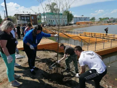 80 деревьев и добрые сердца. Настоящий праздник озеленения на Кабацком озере