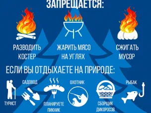 Информация о профилактику нарушений, связанных с поджогами сухой растительности