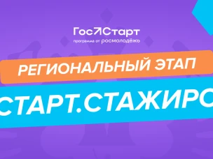 Реализация регионального этапа направления «ГосСтарт.Стажировки» в рамках Всероссийской программы сопровождения молодых государственных и муниципальных служащих «ГосСтарт»