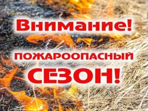 Особый противопожарный режим ввели в Нижегородской области с 1 апреля 2025 года