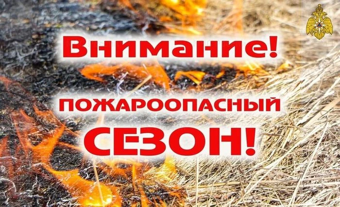 Особый противопожарный режим ввели в Нижегородской области с 1 апреля 2025 года