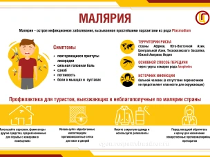 Памятка населению: малярия и ее профилактика