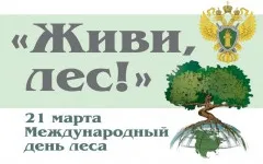 21 марта в мире отмечается Международный день лесов