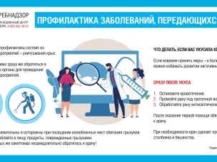 Рекомендации по профилактике инфекций, передающихся грызунами