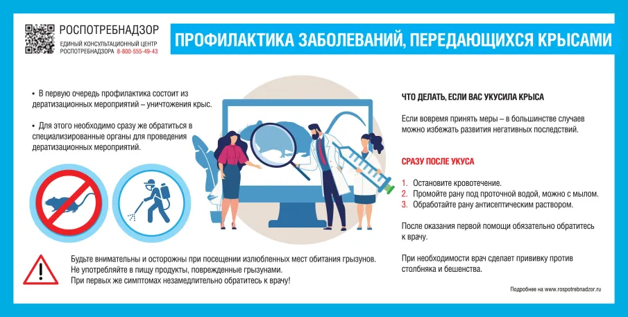 Рекомендации по профилактике инфекций, передающихся грызунами